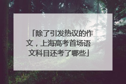 除了引发热议的作文，上海高考首场语文科目还考了哪些