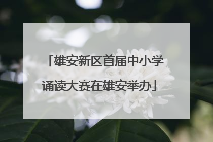 雄安新区首届中小学诵读大赛在雄安举办