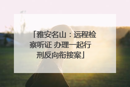 雅安名山：远程检察听证 办理一起行刑反向衔接案