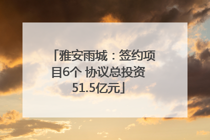 雅安雨城：签约项目6个 协议总投资51.5亿元