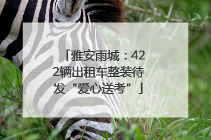 雅安雨城：422辆出租车整装待发“爱心送考”