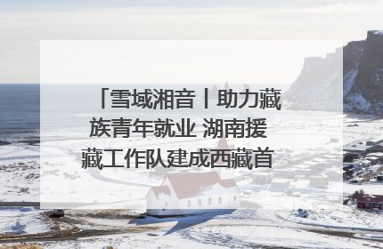 雪域湘音丨助力藏族青年就业 湖南援藏工作队建成西藏首个清洁能源装备园