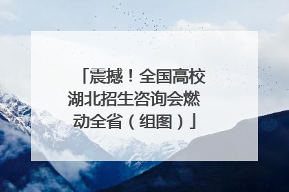 震撼！全国高校湖北招生咨询会燃动全省（组图）