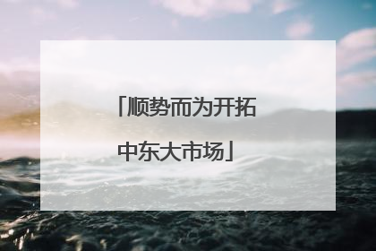 顺势而为开拓中东大市场