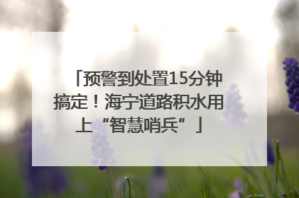 预警到处置15分钟搞定！海宁道路积水用上“智慧哨兵”
