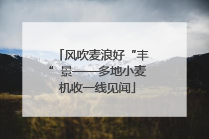 风吹麦浪好“丰”景——多地小麦机收一线见闻
