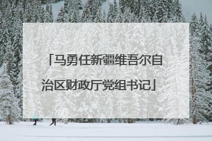 马勇任新疆维吾尔自治区财政厅党组书记