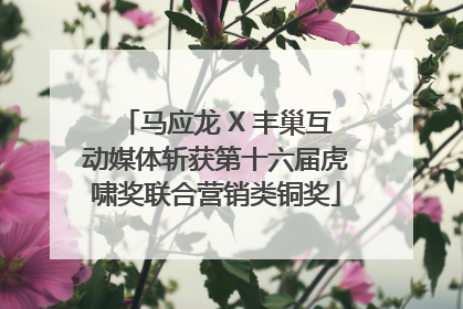 马应龙 X 丰巢互动媒体斩获第十六届虎啸奖联合营销类铜奖
