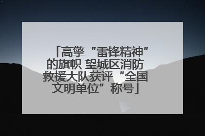 高擎“雷锋精神”的旗帜 望城区消防救援大队获评“全国文明单位”称号