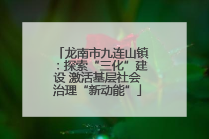 龙南市九连山镇：探索“三化”建设 激活基层社会治理“新动能”