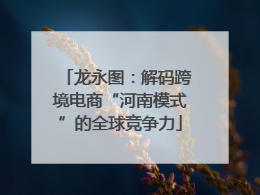 龙永图：解码跨境电商“河南模式”的全球竞争力