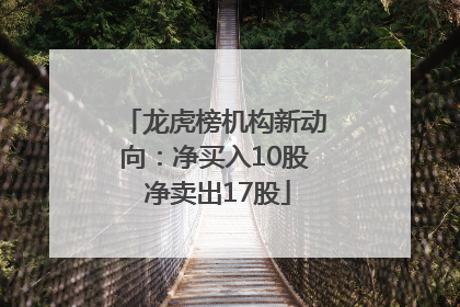 龙虎榜机构新动向：净买入10股 净卖出17股