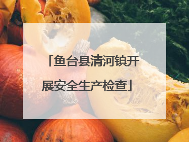 鱼台县清河镇开展安全生产检查
