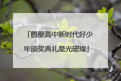 鹤壁高中新时代好少年颁奖典礼星光璀璨