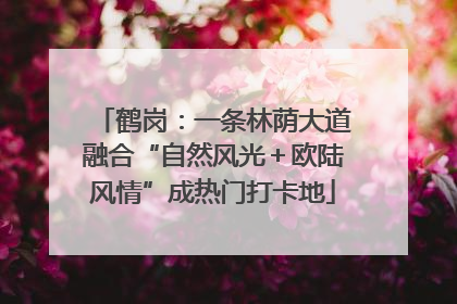 鹤岗：一条林荫大道融合“自然风光＋欧陆风情”成热门打卡地