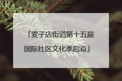 麦子店街道第十五届国际社区文化季启幕