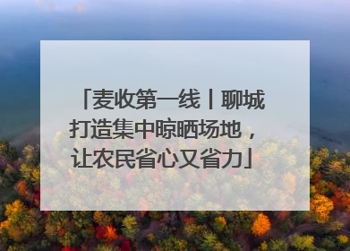 麦收第一线丨聊城打造集中晾晒场地，让农民省心又省力