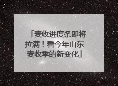 麦收进度条即将拉满！看今年山东麦收季的新变化
