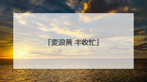麦浪黄 丰收忙