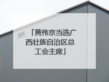 黄伟京当选广西壮族自治区总工会主席