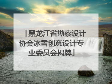 黑龙江省勘察设计协会冰雪创意设计专业委员会揭牌