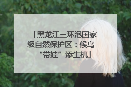 黑龙江三环泡国家级自然保护区：候鸟“带娃”添生机