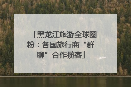 黑龙江旅游全球圈粉：各国旅行商“群聊”合作揽客