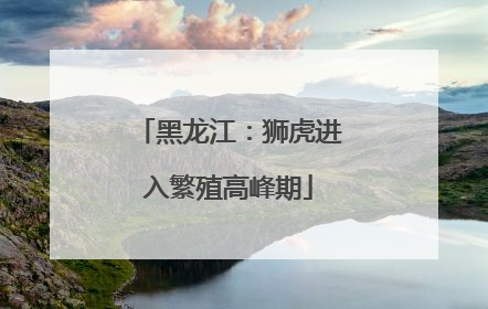 黑龙江：狮虎进入繁殖高峰期