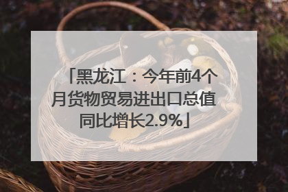 黑龙江：今年前4个月货物贸易进出口总值同比增长2.9%