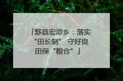 黟县宏潭乡：落实“田长制” 守好良田保“粮仓”