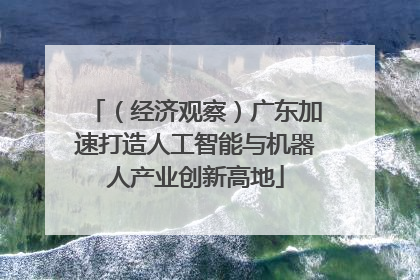 （经济观察）广东加速打造人工智能与机器人产业创新高地