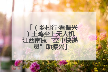 （乡村行·看振兴）土鸡坐上无人机 江西南康“空中快递员”助振兴
