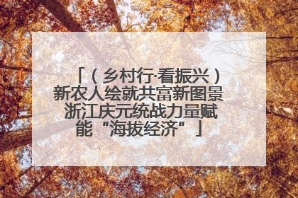 （乡村行·看振兴）新农人绘就共富新图景 浙江庆元统战力量赋能“海拔经济”