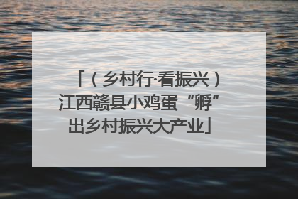 （乡村行·看振兴）江西赣县小鸡蛋“孵”出乡村振兴大产业