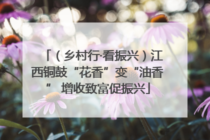（乡村行·看振兴）江西铜鼓“花香”变“油香” 增收致富促振兴