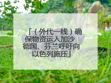 （外代一线）确保物资运入加沙 德国、芬兰呼吁向以色列施压