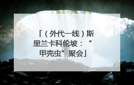 （外代一线）斯里兰卡科伦坡：“甲壳虫”聚会