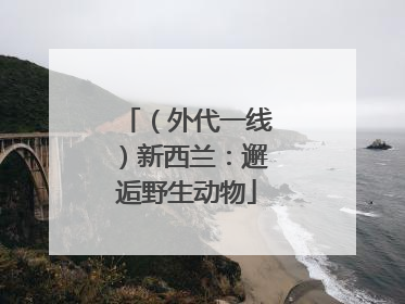 （外代一线）新西兰：邂逅野生动物