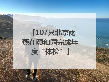 107只北京雨燕在颐和园完成年度“体检”
