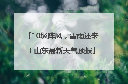 10级阵风，雷雨还来！山东最新天气预报