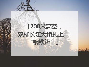 200米高空，双柳长江大桥扎上“钢铁辫”