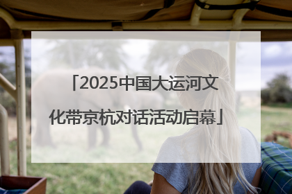 2025中国大运河文化带京杭对话活动启幕