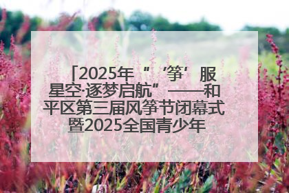 2025年“‘筝’服星空·逐梦启航”——和平区第三届风筝节闭幕式 暨2025全国青少年风筝制作放飞赛（沈阳站）颁奖仪式
