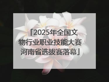 2025年全国文物行业职业技能大赛河南省选拔赛落幕