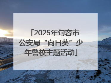 2025年句容市公安局“向日葵”少年警校主题活动