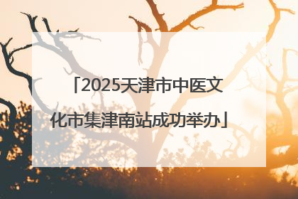 2025天津市中医文化市集津南站成功举办