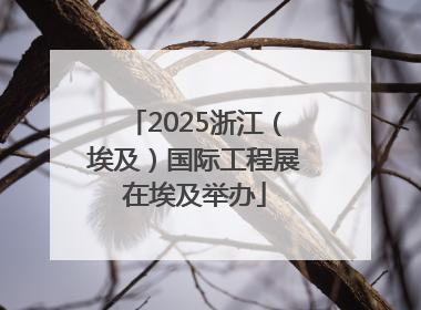 2025浙江（埃及）国际工程展在埃及举办