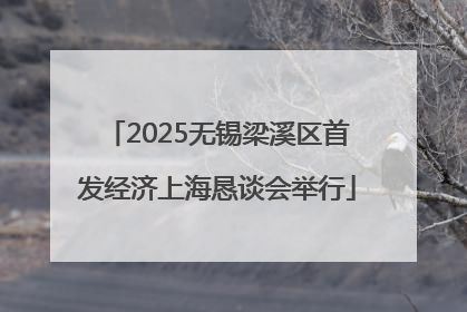 2025无锡梁溪区首发经济上海恳谈会举行