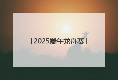 2025端午龙舟赛