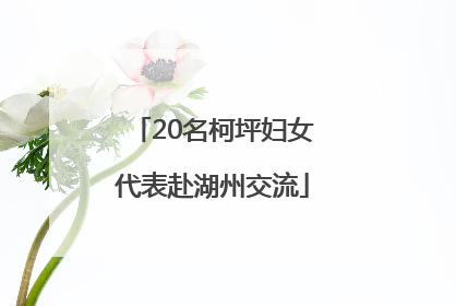 20名柯坪妇女代表赴湖州交流